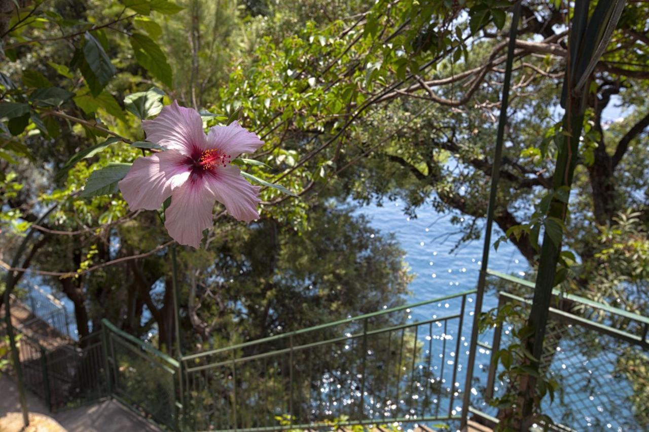 Amore Rentals - Villa Lo Scoglio Positano Buitenkant foto