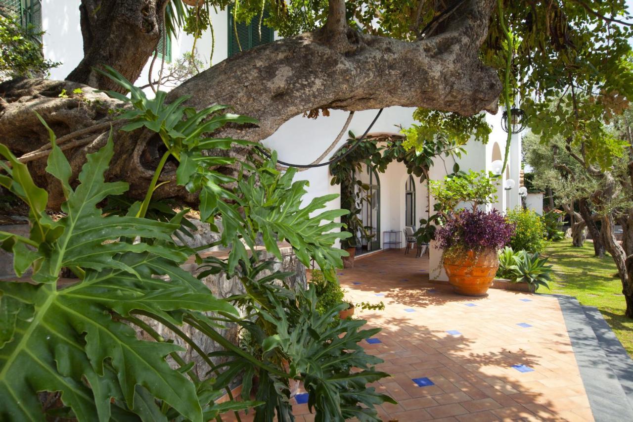 Amore Rentals - Villa Lo Scoglio Positano Buitenkant foto